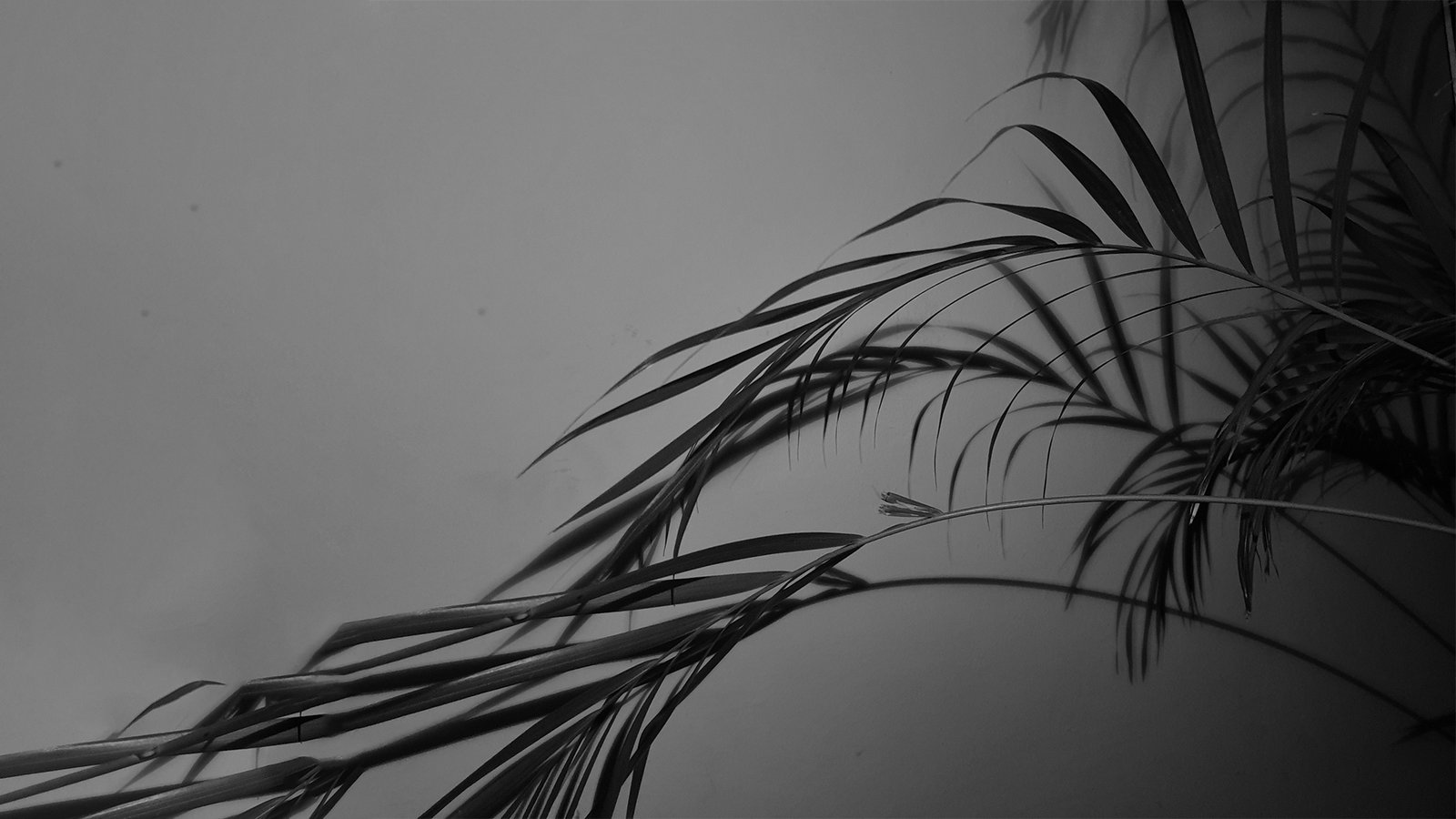 Xiuno BBS - 修罗BBS论坛程序,XiunoBBS免费轻论坛程序