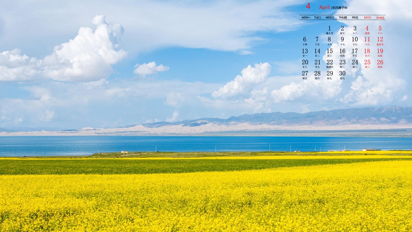 同一个织梦模板做多个网站,会对网站SEO优化有影响吗