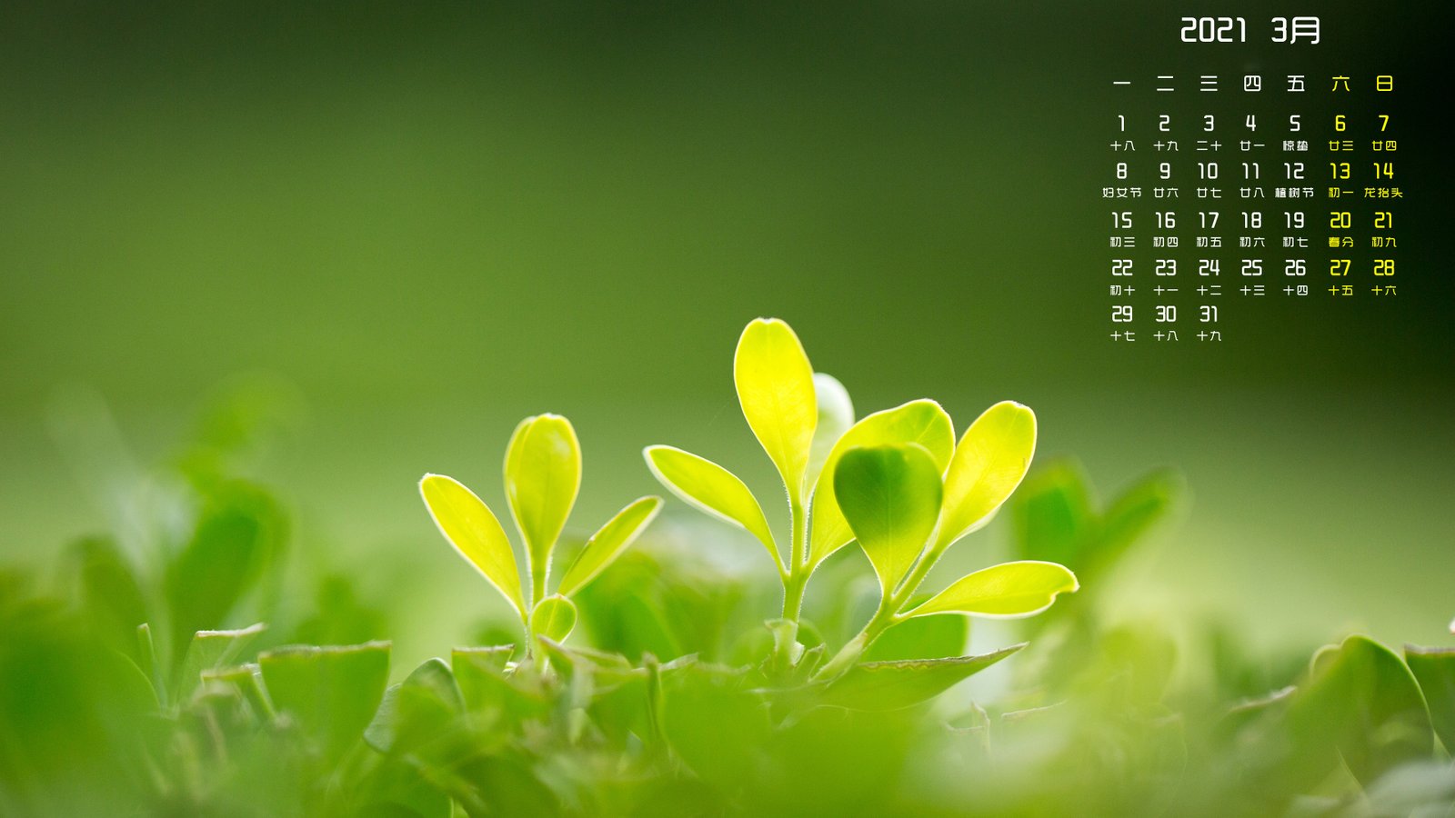 网站更换服务器对排名有影响吗