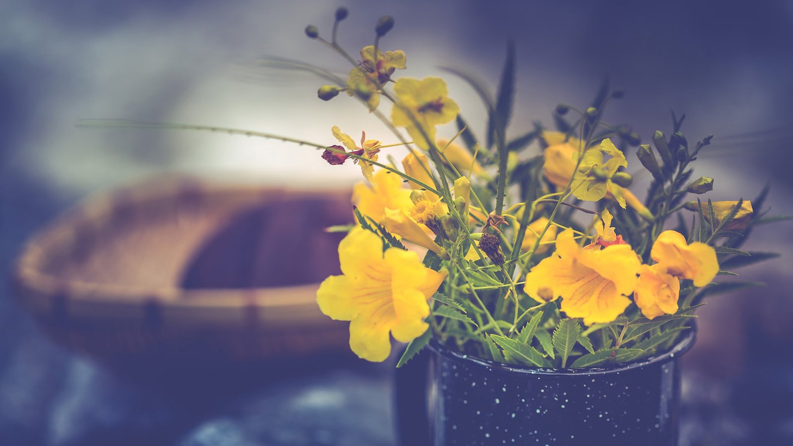 拼多多免单下单全额返是真的吗?亲测后小千解说告诉你真相