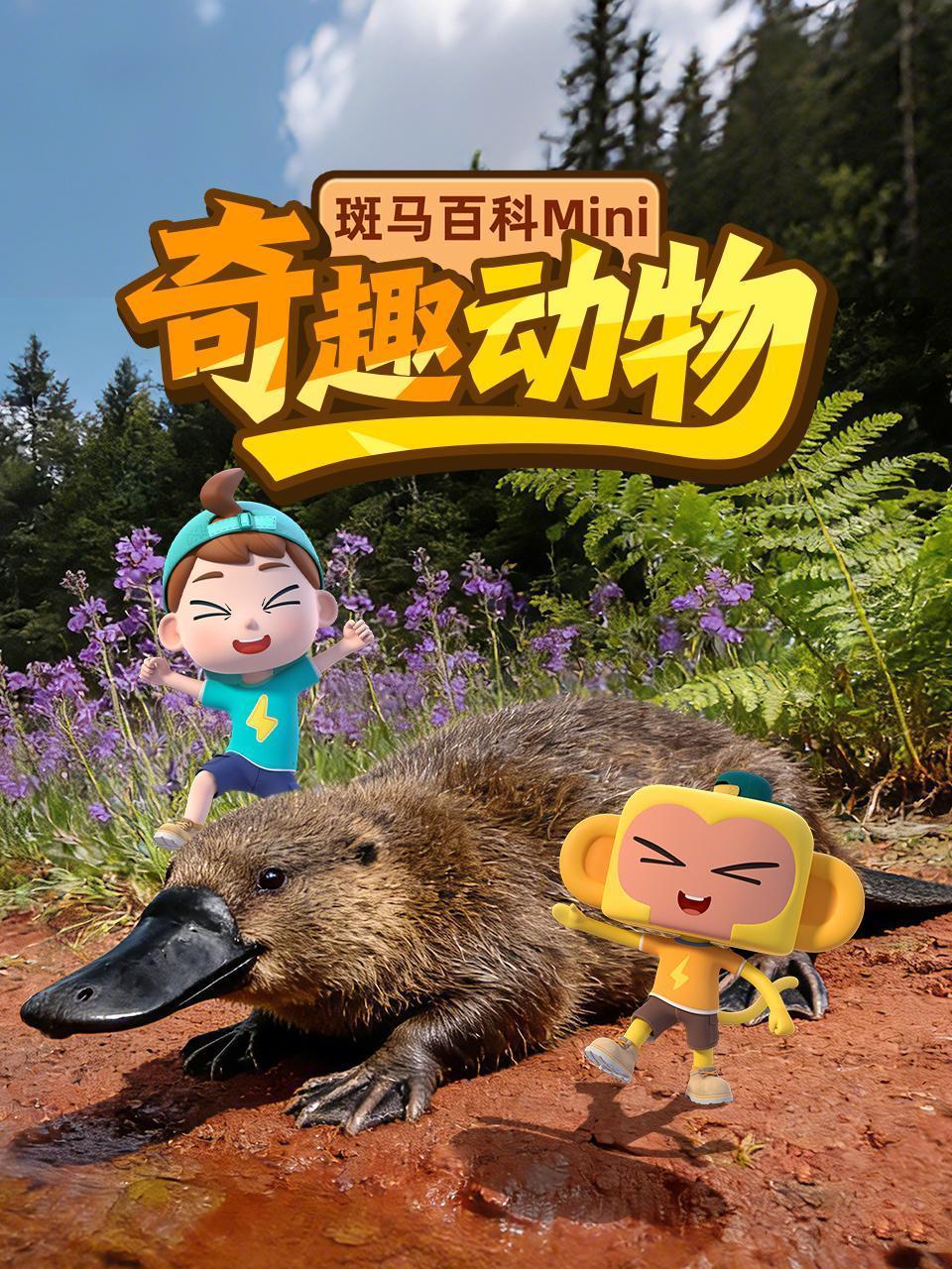斑马百科mini：奇趣动物