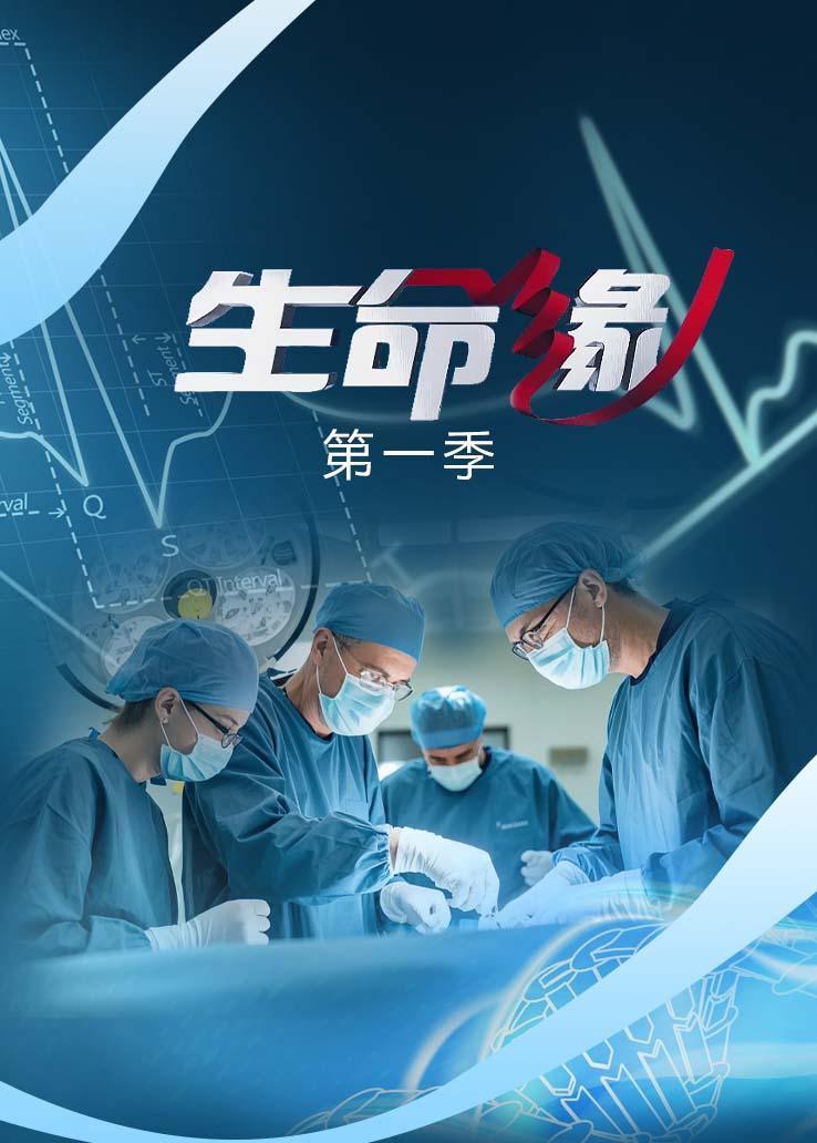 生命缘第一季
