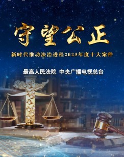 守望公正新时代推动法治进程2025年度十大案件