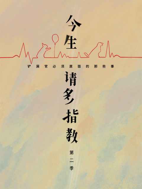 今生，请多指教2