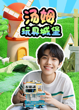 汤姆玩具城堡