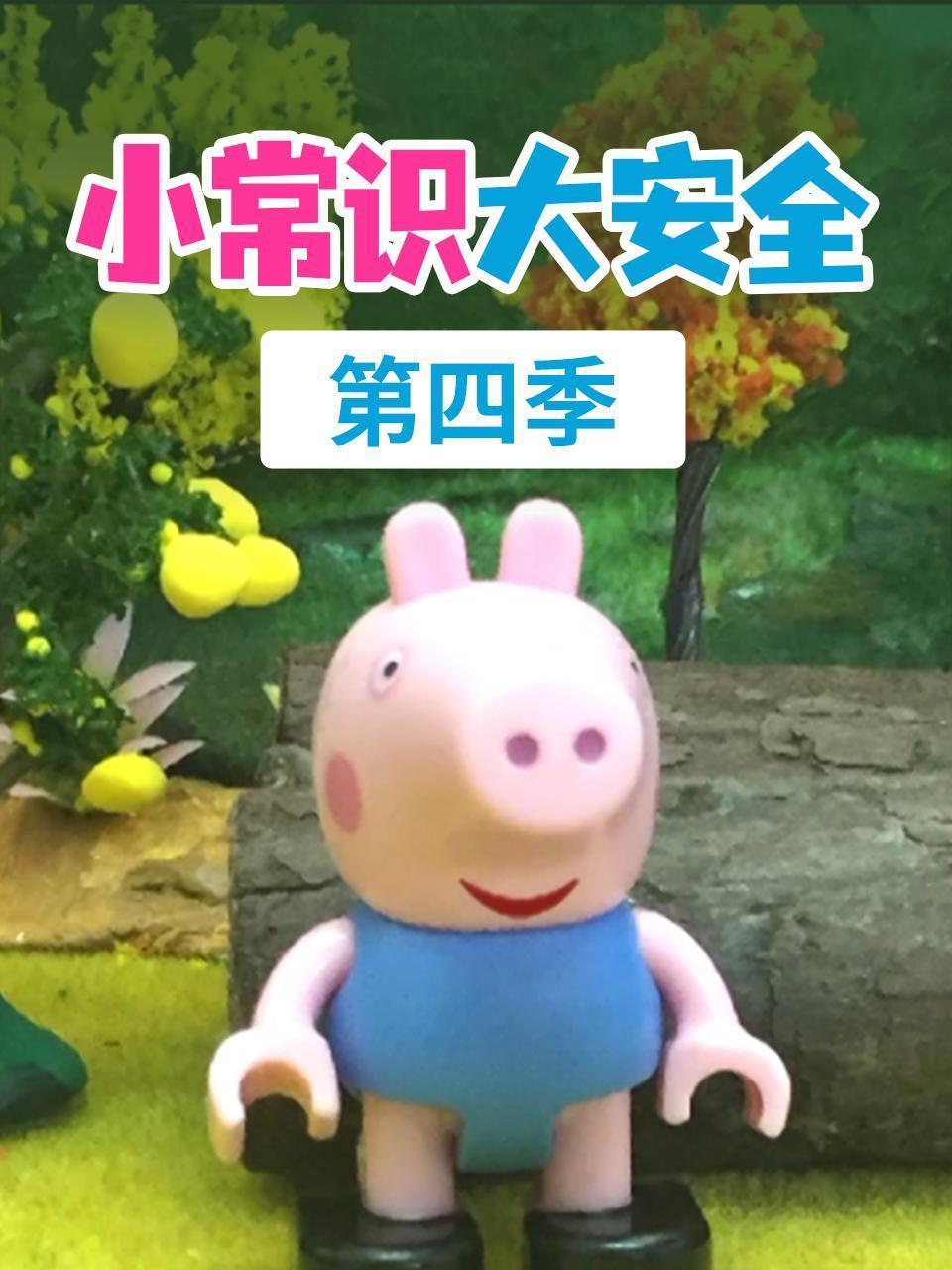 小常识大安全 第四季