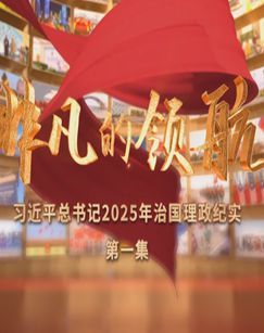 非凡的领航-习近平总书记2025年治国理政纪实