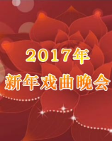 2017新年戏曲晚会综合频道