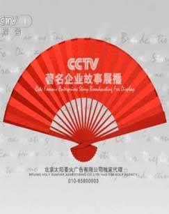 CCTV著名企业故事展播