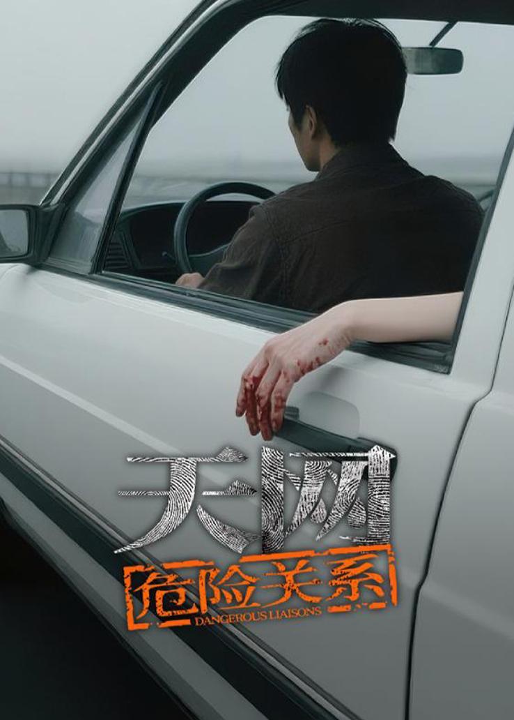 天网：危险关系