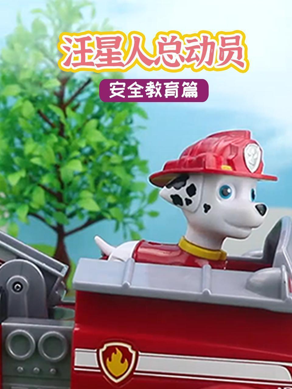 汪星人总动员之安全教育篇