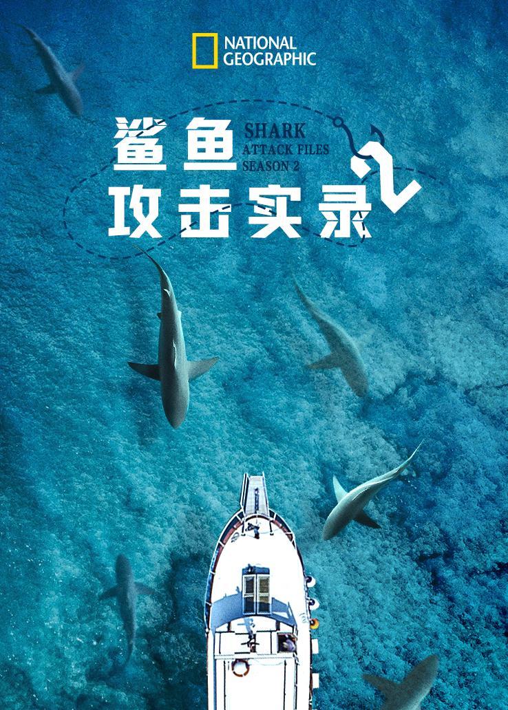 鲨鱼攻击实录第二季