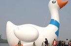 义乌“大白鹅”亮相不久被风吹倒