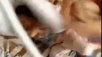 Ӥװˤȶ