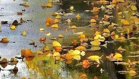 这10个细节,看清身边的君子与小人。|谈天说地