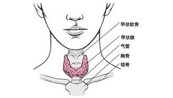 颈椎病以外,还有一些颈椎病称之为其他型颈椎病,目前主要指食管压迫型