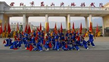 中国少林精武院