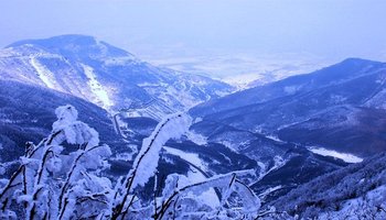 六盘山雪景