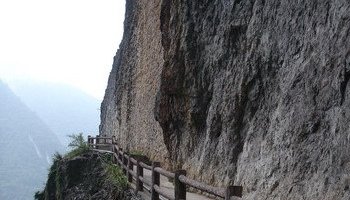 大圆洞森林公园