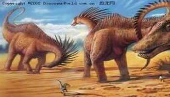 中文学名:阿马加龙 拉丁学名:amargasaurus cazaui 界:动物界 门