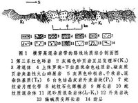 地质编录