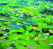 四川盆地