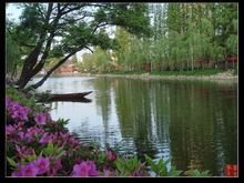 皋城风景