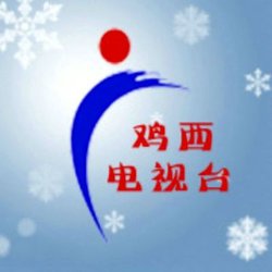 鸡西电视台_360百科