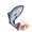 三文鱼.png