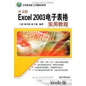 中文版Excel 2003电子表格实用教程 (计算机基