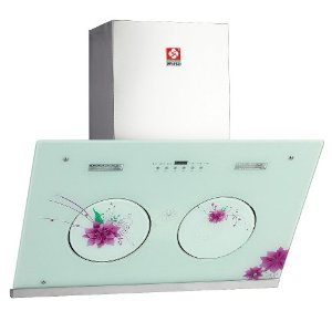 WONDERFLOWER 樱花 抽油烟机 侧吸式B12