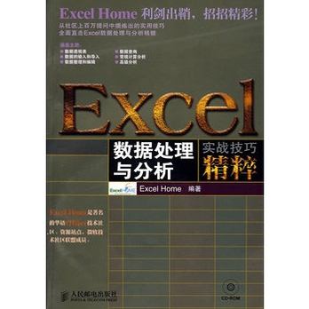 Excel数据处理与分析实战技巧精粹(附光盘)(Ex