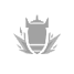 震荡弹.png