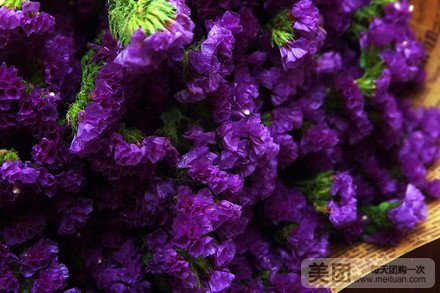 勿忘我花束1束,赠欧式包装外加1支南韩小熊