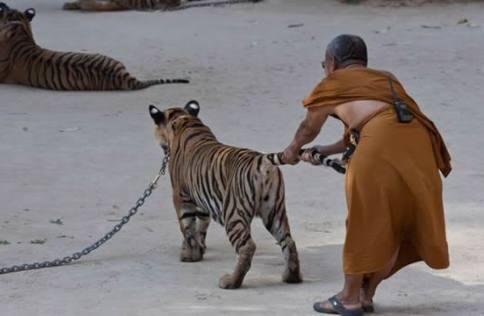 开心糗事:绿色有什么不好,关云长穿绿衣戴绿帽