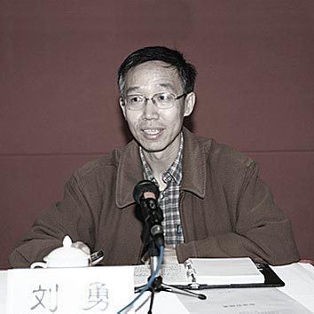 刘勇-三峡大学副教授