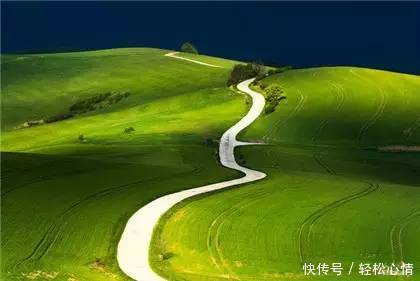 做人淡而久香,不争,不俗