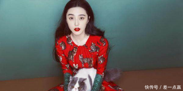 称霸微胖界的女明星有哪些蒋欣陈妍希范冰冰稍