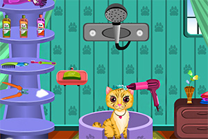 为小猫咪洗澡,为小猫咪洗澡小游戏,360小游戏