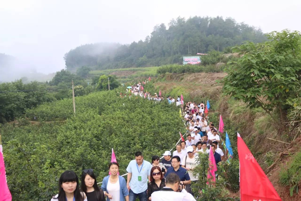 总投资800余万!占地300余亩,平昌建设全国最大