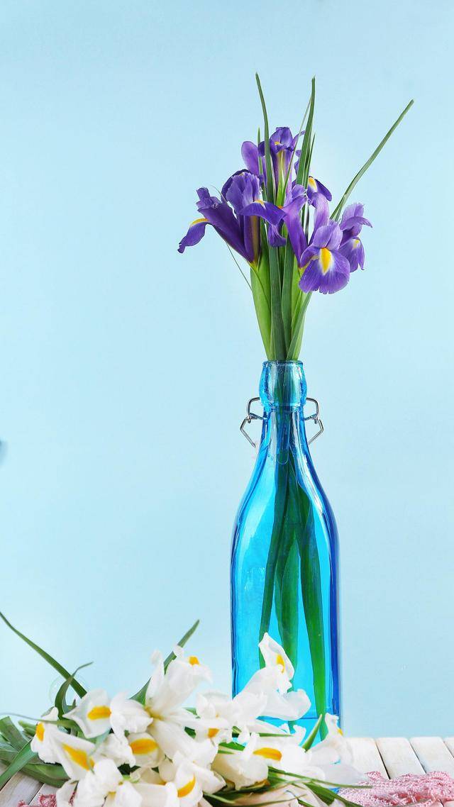 在爱情里,被动的那个最容易受伤