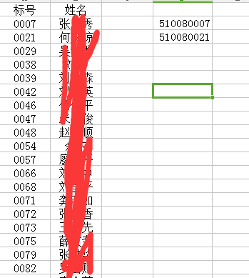 excel表格标号前加前缀一串数字 输入值位数一