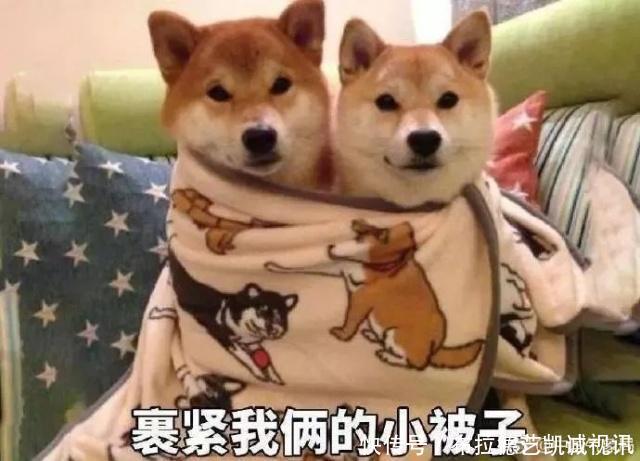 江苏将迎来雨夹雪