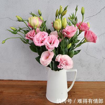 t0105d23a9719fdf28c.jpg