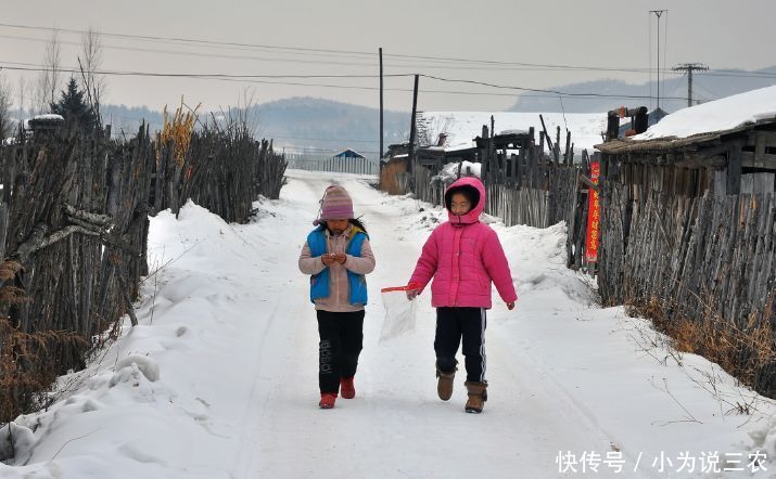 农村老话热在三伏,冷在三九三伏天中哪一伏最