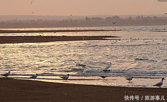 中国最大的沙漠淡水湖，美到没朋友，被预言10年之内会消失