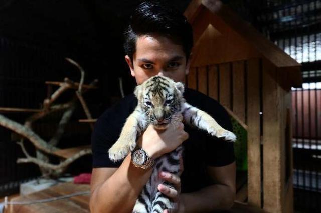 忘记哈里! 单身富有学历好颜值高 文莱四王子马