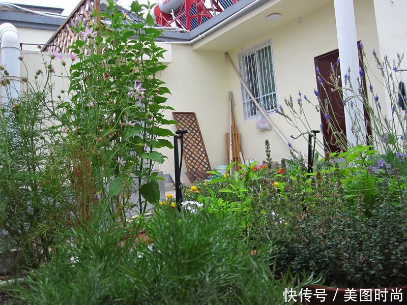 DIY打造40㎡“露台花园”,这个房子1千1㎡,你信吗?