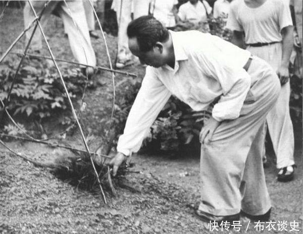 1959年毛主席回韶山祭祖的珍贵照片,第三张看哭随行人员!