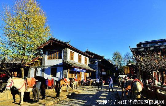 最适合一个人旅行的城市